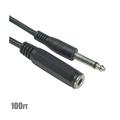 100 Feet 6.35mm Mono Male to Female Audio Extension Cable for DJ Speaker Guitar