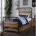 17 Stories Chesternight Metal Standard Bed Metal | 52 H x 42 W x 79 D in | Wayfair A4CEEBC730814AF99F8075E1846B37E3