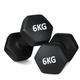 NTEK Neoprene Dumbbell Hand Weights | 1pair Sweat Resistant Dumbbell Set | for Women and Men Arm Hand Weights Pilates Dumbbells | Neoprene Dumbbell for Home Exercise (6, Kilograms)