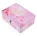 Tinplate Box with Lock Retro Style Case Jewelry Tray Storage Lipstick Holder Travel