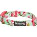 Blueberry Pet 7 Patterns Spring Scent Inspired Floral Rose Print Turquoise Adjustable Dog Collar X-Small Neck 8 -11