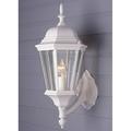 Trans Globe Lighting San Rafael 4250 Outdoor Wall Lantern