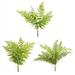 Raz Imports 2024 Sweet Magnolia 20 Soft Touch Fern Bundle Asst of 3