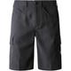 The North Face Herren Horizon Shorts (Größe XL, grau)