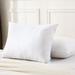 Waverly Down Blend Medium Support Pillow Down & Feathers/100% Cotton | 20 H x 28 W x 4 D in | Wayfair P2021-0144-J-W