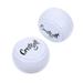 2 Pcs Putter Golf Accessories Golf Stuff Training Golf Balls Training Aids Golfing Exercising Balls Exercising Putting Rod Flat Golf Practice Ball Gym Ball White Sarin Synthetic Rubber