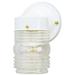 Westinghouse 66878 One-Light Jelly Jar Exterior Wall Lantern White Each