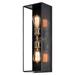 C Cattleya 2-Light Dark Bronze Finish Brass Outdoor Wall Sconce