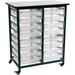 Mobile Bin Storage Unit - Double Row With Small Clear Bins