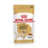 Royal Canin Labrador Retriever Adult Crocchette cane - Come integrazione: 20 x 140 g Umido Royal Canin Labrador Retriever Adult