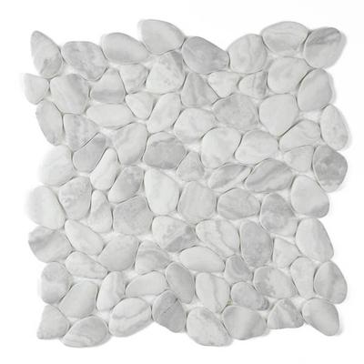 Huron Rock 12in x 12in Glacier Glass Pebble Floor and Wall Tile