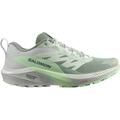 SALOMON Damen Trailrunningschuhe SHOES SENSE RIDE 5 W Lily/Metal/Greash, Größe 44 in Grau