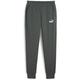 PUMA Herren Sporthose ESS Logo Pants FL cl (s), Größe S in Grau