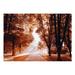 Landscape Non-pasted Wallpaper Wall Mural - Autumn Park