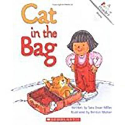 Houghton Mifflin Early Success Cat In The Bag
