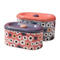 Bafnsiji 2pc Canister Set, Kitchen Storage Tin, Cookie Tin Snack Jars, Cake Tins, Storage Containers with Lid, Stackable Storage Container, for Storing Cakes, Bakes & Treats,D