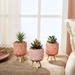 Primrue 6.5 IN Small Potted Plants Artificial Succulents Plants (3 PCS) Ceramic/Plastic in Pink/White | 6.5 H x 3 W x 3 D in | Wayfair