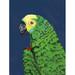 Winston Porter Parrot Head Navy by Pamela Munger Print Canvas in Blue/Green | 16 H x 12 W x 1.25 D in | Wayfair 70849B3E2863408088CACE618080B20C