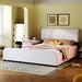 Red Barrel Studio® Idora Vegan Leather Platform Bed Upholstered/Faux leather in Pink | 35.4 H x 72.4 W x 80.7 D in | Wayfair