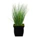 HomeStock Southwestern Sanctuary 21In. Onion Grass Artificial Plant In Black Metal Planter