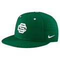 Men's Nike Green USC Trojans St. Patrick's Day True Fitted Performance Hat