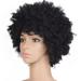 Shiusina Curly Women Short Wig Wigs American for Synthetic Natural Black wig Black