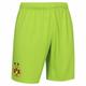 Borussia Dortmund BVB 09 PUMA Herren Torwart Shorts 759103-51