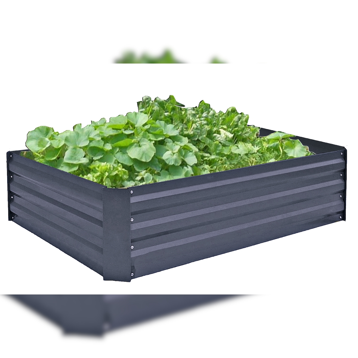 Metall Hochbeet Gartenbeet Gemüsebeet Pflanzbeet Pflanzkasten Blumenbeet Garten Image