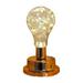 Dengmore Warm Small Night Light Unique Design Golden Bulb Night Light Desktop Office Night Lamp Charging Decorative Table Lamp Warm Light Portable Large Capacity Charging Table Lamp