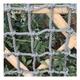 amhea Kids Playground Play Safety Net Outdoor Climbing Cargo Net Playground Sets Double Layers Backyard Net for Playground (Color : 6mm*8cm, Size : 2X4m/6.6X13.12ft)