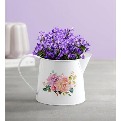 1-800-Flowers Gifts Delivery Spring Blooming Watering Can