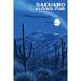 Saguaro National Park Arizona Rincon Peak Night Sky (12x18 Wall Art Poster Room Decor)
