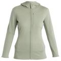 Icebreaker - Women's Merino 260 Quantum IV L/S Zip Hoodie - Merinohoodie Gr S grau