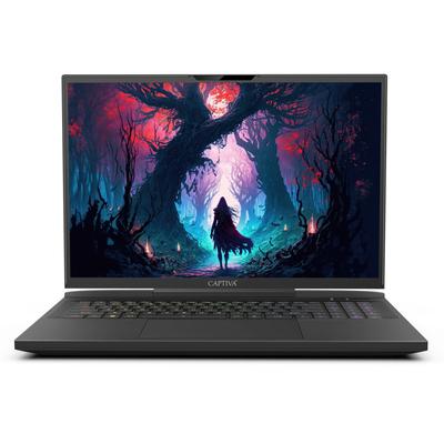 CAPTIVA Gaming-Notebook "Highend Gaming I81-489" Notebooks Gr. 32 GB RAM 4000 GB SSD, Core i9, Microsoft Windows 11 Home (64 Bit), schwarz