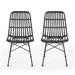 Sawtelle Outdoor Wicker Dining Chairs (Set of 2) by Christopher Knight Home