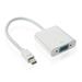 Huanledash Mini DP DisplayPort to VGA Converter Portable Adapter Transducer Extension Cable