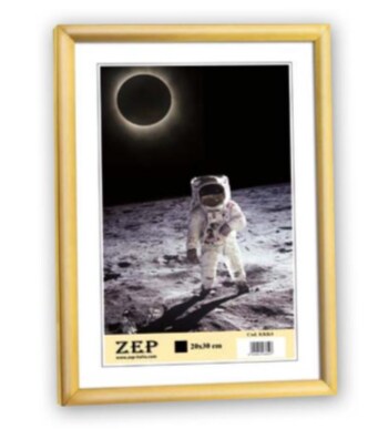 ZEP Basic Frame Gold Einzelbilderrahmen Image
