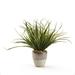 D&W Silks Light Green Grass in Rustic Metallic Ceramic Planter