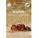 Seashells: An Activity Book for the Beach and Ocean