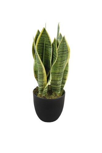 Lex Kunstpflanze Bogenhanf Tischpflanze Zimmerpflanze 9 Blätter 33cm Image