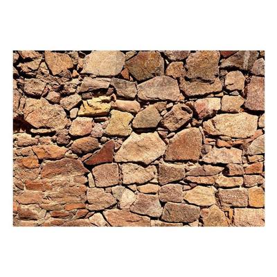Peel & Stick Wall Mural - Old Fortress Stone Wall - Removable Wallpaper