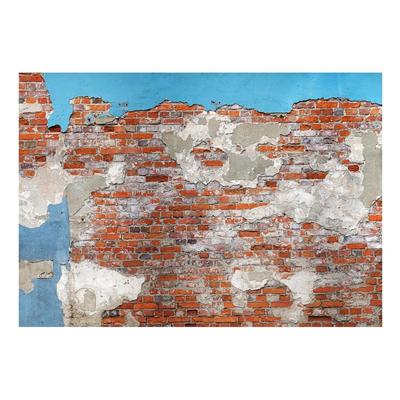 Peel & Stick Wall Mural - Brick Wall Blue Plaster - Removable Wallpaper