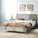 Red Barrel Studio® Bricola Platform Bed Metal in Gray | 38.2 H x 83 W x 64.7 D in | Wayfair FE8A8B0F75984214861C2DB9CB835EDA