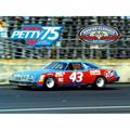 Action Racing Richard Petty 1979 #43 STP Oldsmobile Autographed 21st Daytona 500 Race Win 1:64 Regular Paint Die-Cast Car