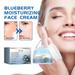 Teissuly HOYGI Blueberry Moisturizing Face Cream Blueberry Moisturizing Face Cream Moisturizing Face Cream Best Moisturizer For Face 30g