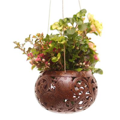 Tropical House in Butterfly,'Handmade Coconut Shell Hanging Planter from Bali'