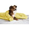 [Pawfect Blanket] Premium Weighted Dog Blanket for Anxiety, Comfort and Stress Relief. Premium Minky Material. Eco-Friendly and Hypoallergenic Poly Pellets. Medium.
