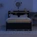 Full Size Bed With USB&Type-C Ports,LED Light,Bookcase,Trundle,Drawers