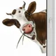 Autocollants College de vache qui s'accrochent sur la fenêtre stickers mignons et drôles sur le
