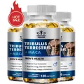 Tributus TERRETRIS-Ginseng Supplément Énergétique pour Homme Prend de l'Énergie Naturelle et de